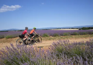 Cycling in Digne-les-Bains