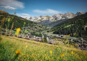 Le Grand-Bornand and Grand-Bornand Chinaillon